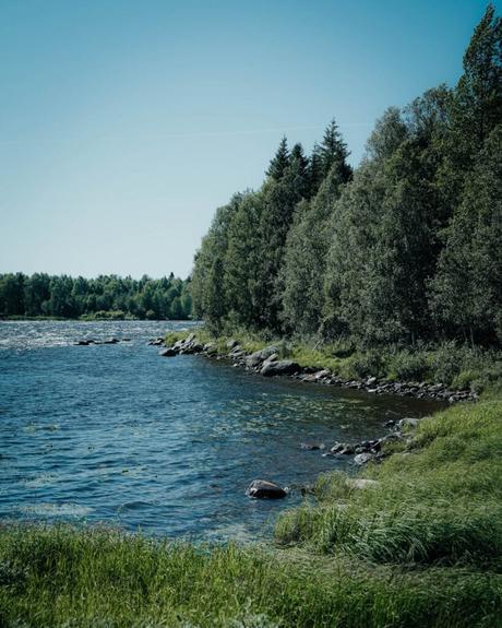 Im Bann des Mitternachtslichts: Ein Abenteuer in Finnisch-Lappland Ein ruhiger See, gesäumt von üppigen grünen Bäumen und Gräsern unter einem klaren blauen Himmel.