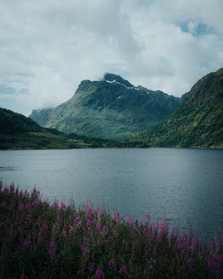 Svolvær und die Teufelspforte Bergsee mit violetten Wildblumen im Vordergrund unter einem bewölkten Himmel.