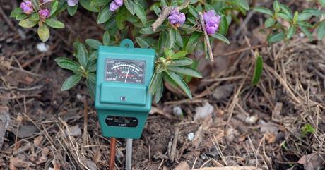 Pflanzen Feuchtigkeitsmesser Test-Überblick, Testsieger, Vergleich und Kaufberatung 2024/2025 Manueller Pflanzen Feuchtigkeitsmesser Test