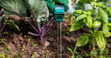 Pflanzen Feuchtigkeitsmesser Test-Überblick, Testsieger, Vergleich und Kaufberatung 2024/2025 Manueller Pflanzen Feuchtigkeitsmesser