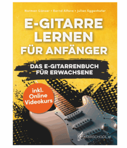 Donner E-Gitarren-Set 39 Zoll – E-Gitarre mit HSS für Einsteiger Donner E-Gitarren-Set 39 Zoll – E-Gitarre mit HSS für Einsteiger