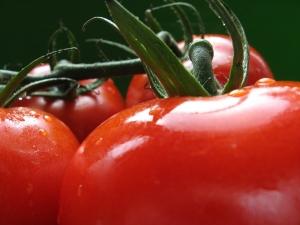 würziger Tomaten Ketchup – kalorienfrei