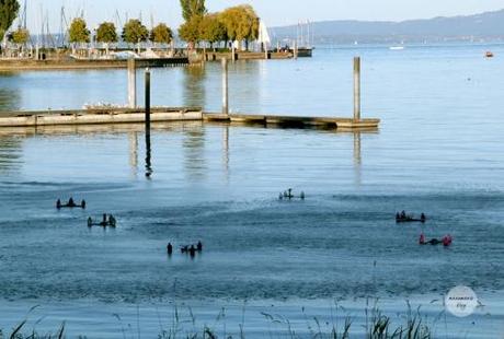 H2Art – Poesie und Klang am Seeufer von Arbon