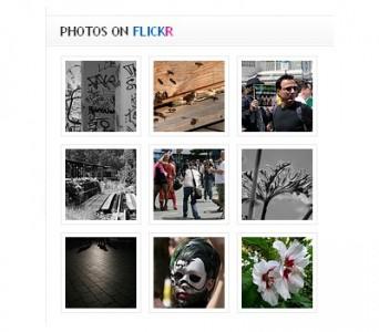 Flickr vs. Google+