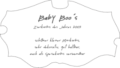 Baby Boo´s / weiße Zierkürbisse