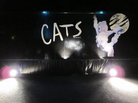 Cats Truck in Zürich