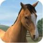 My Horse – Kümmere dich um dein Pferd und nimm an Turnieren teil