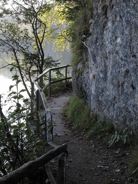 Der Weißensee in Füssen: Eine Kirsche in Nachbars Garten