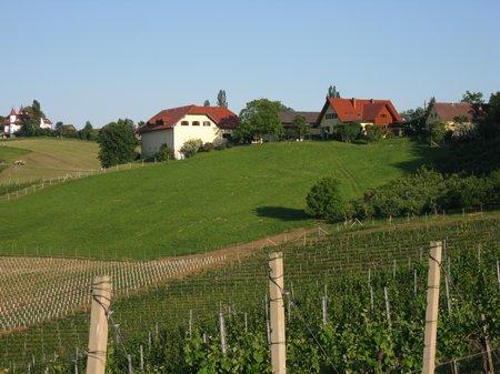 SüdSteiermark Weingut-Pilch