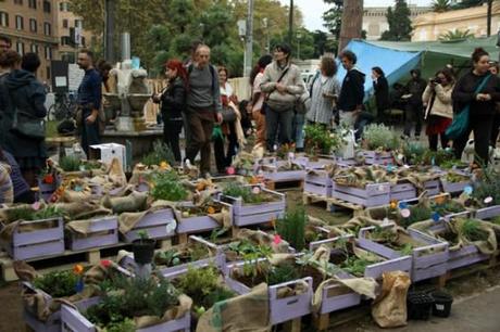 was haben urban gardening und das occupy movement gemeinsam?