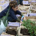 orto-errante-garden-woman-planting