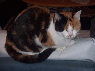 Purina One - Ende der 1. Wohe Purina One - Ende der 1. Wohe