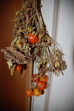 Gartentipp #1: Tomaten/Paradeiser nachreifen lassen