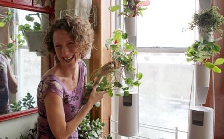 windowfarms – vertikaler Garten für das Fenster