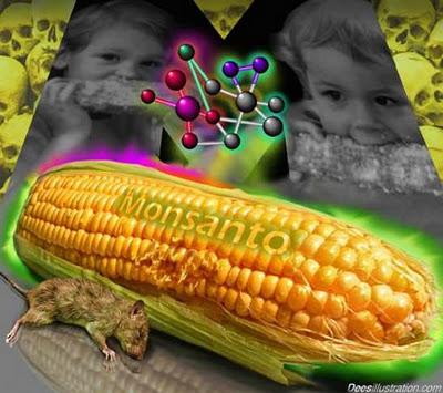 Frankreich bezieht Stellung gegen die Monsantos GMOs, trotz Aufhebung des Verbots