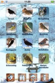 Vögel füttern – auf dem iPhone und Sie erfahren von NABU, den Vogelexperten, wie Sie die gefiederten Freunde durch den Winter bringen