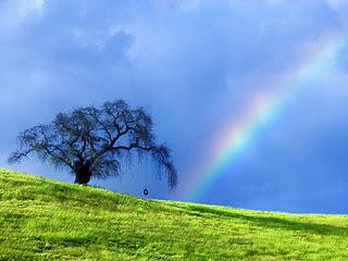 Nimm Dir ab und zu die Zeit, einen Regenbogen zu betrachten!