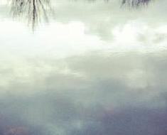 wallpaper-1689754