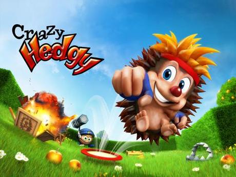 Crazy Hedgy – Imposantes 3D Action-Abenteuer-Rollenspiel Puzzel
