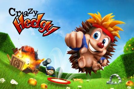 Crazy Hedgy – Imposantes 3D Action-Abenteuer-Rollenspiel Puzzel