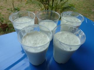 Joghurt und Quark / Yoghurt and Quark - made in Thailand