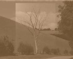 wallpaper-1689754