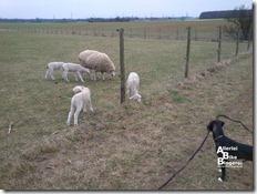 2012-03-13 15.11.40 2 2012-03-13 15.11.40 2