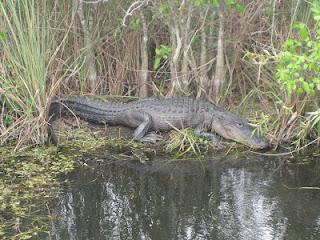 10 Tage Florida - März 2012