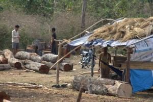Transporting Timber Out of Cambodia’s Protected Areas.