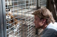 ‘Wir kaufen einen Zoo’ oder wo die wilden Tiere wohnen