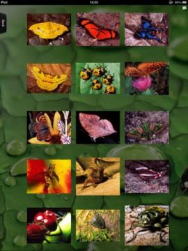 Insectarium HD – lernen Sie die faszinierende Welt der Kerbtiere in Großaufnahmen auf dem iPad kennen