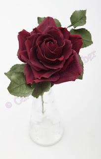 Dunkelrote Rose :-)