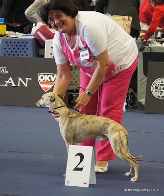 WORLD DOG SHOW 2012 und World Club Show in Anif  - Salzburg - Großartiger Erfolg für Lucky