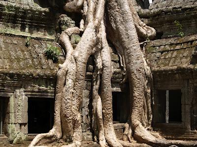 die Tempel von Angkor: Sightseeing bei 40 Grad im Schatten