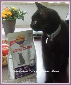 Royal Canin – Für Katzi nur das Beste ;-)