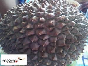 Meine Albtraum Frucht – Durian – ist nicht so schlimm!