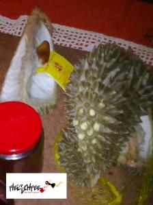 Meine Albtraum Frucht – Durian – ist nicht so schlimm!