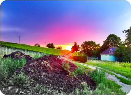 Sonnenuntergang im Markgräflerland – Sommer!