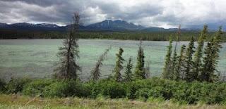 Dawson City – Whitehorse: Wind von Süd-Ost?!?!