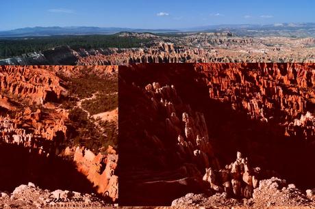 DSC 7307 in Das Phänomen der Felspyramiden im Bryce Canyon