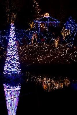 Festival of Lights at Van Dusen Botanical Gardens, Vancouver