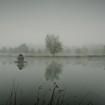 Teich im Nebel Golfplatz Seppensen (2)
