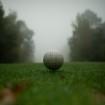 Golfball auf dem Giolfplatz Seppensen