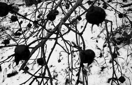 Schwarz-Weiß-Malerei (C) Patrick Q / flickr