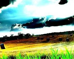 wallpaper-1689754