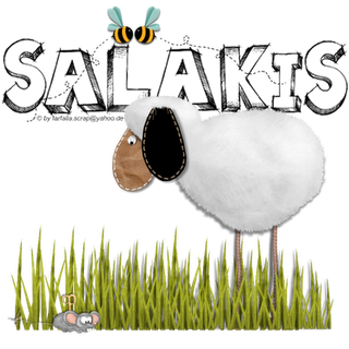 Salakis Schafskäse by brandnooz / Part 12 * Mediterrane Zucchini - Reis - Pfanne mit Feta