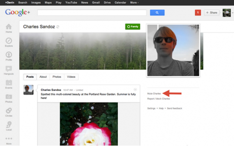 Google+: Nutzer stumm schalten und Frequenz der Beiträge verändern