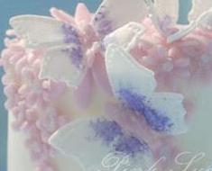 wallpaper-1689754