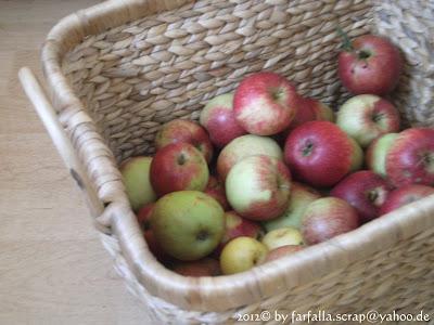 In den Topf geschaut / Jugoslawischer Apfelkuchen