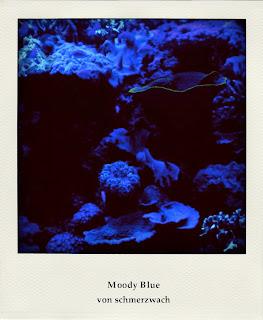 Fortsetzungsroman: Moody Blue 8 Fortsetzungsroman: Moody Blue 8